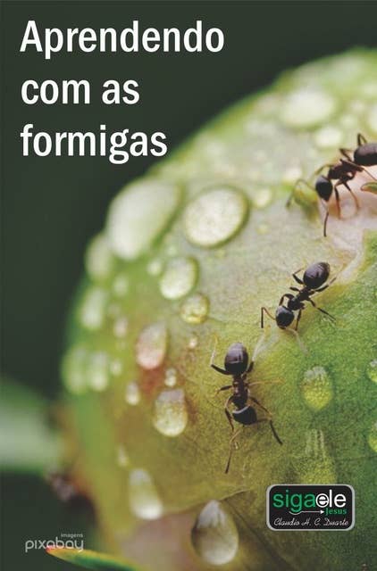 Aprendendo com as formigas: “As formigas, criaturas de pouca força, contudo, armazenam sua comida no verão.”