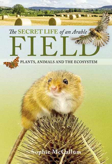 The Secret Life of an Arable Field: Plants, Animals and the Ecosystem