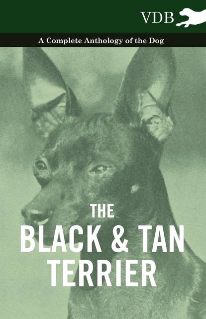 The Black and Tan Terrier - A Complete Anthology of the Dog