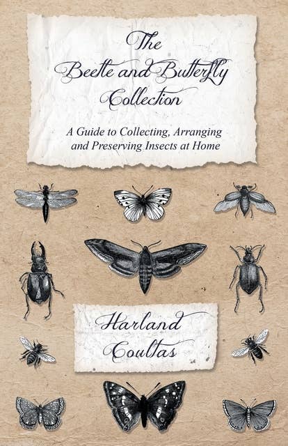 The Beetle and Butterfly Collection - A Guide to Collecting, Arranging and Preserving Insects at Home