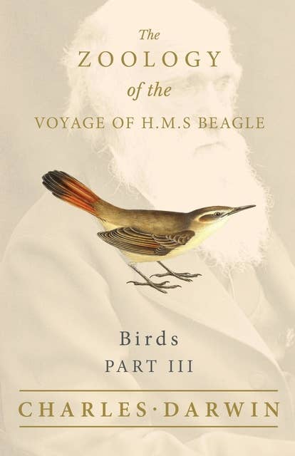 Birds - Part III - The Zoology of the Voyage of H.M.S Beagle: Under the Command of Captain Fitzroy - During the Years 1832 to 1836