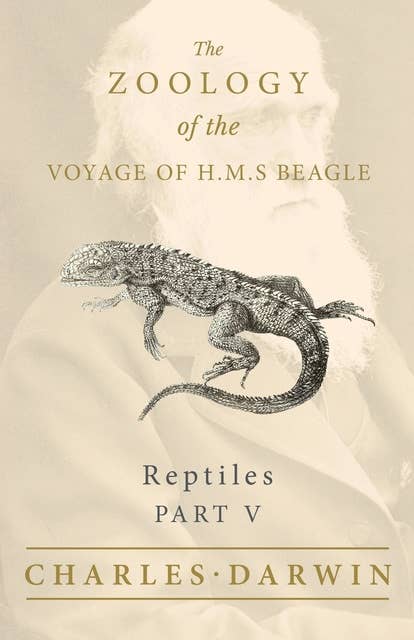 Reptiles - Part V - The Zoology of the Voyage of H.M.S Beagle