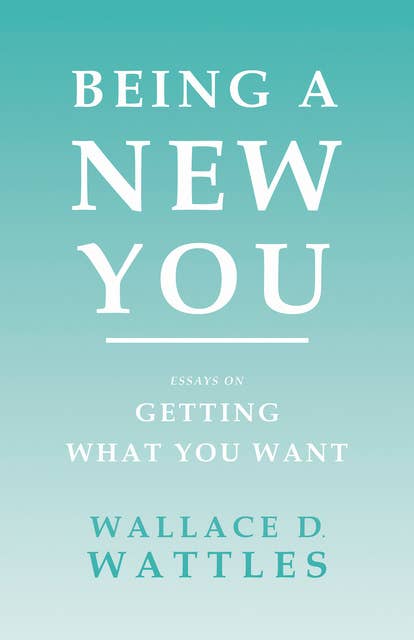 Being a New You: Essays on Getting What You Want