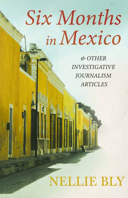 Six Months in Mexico: And Other Investigative Journalism Articles