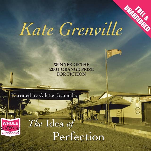 Cover for The Idea of Perfection