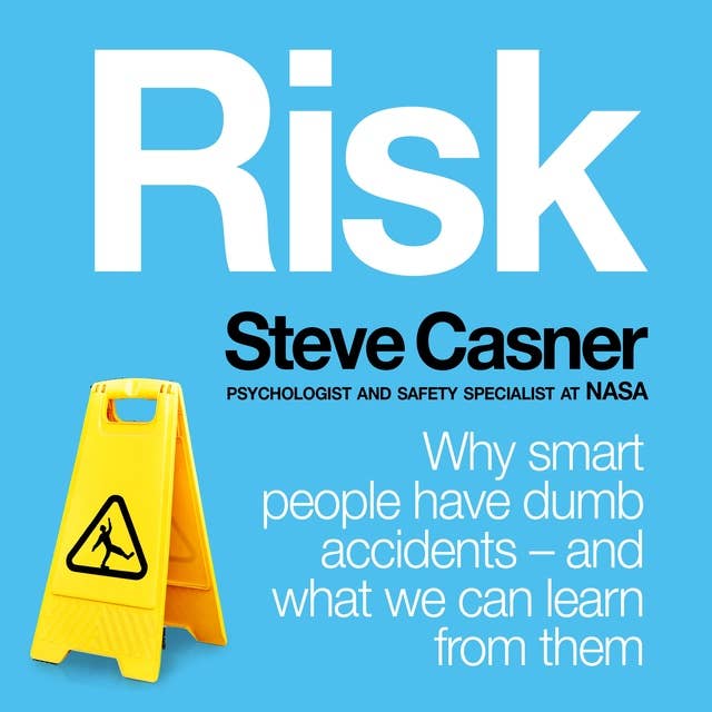 Risk: Why Smart People Have Dumb Accidents - And What We Can Learn From Them