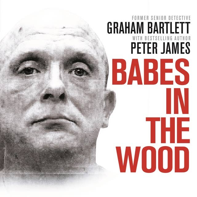 Cover for Babes in the Wood: Two girls murdered. A guilty man walks free. Can the police get justice?