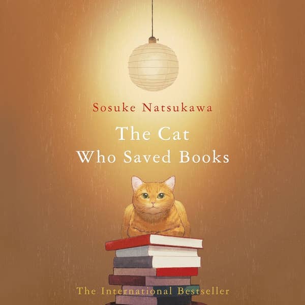 If Cats Disappeared From The World: A moving and thought