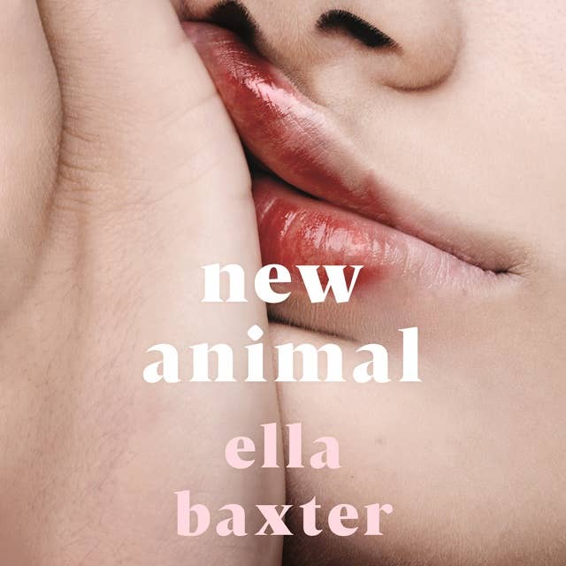 Cover for New Animal