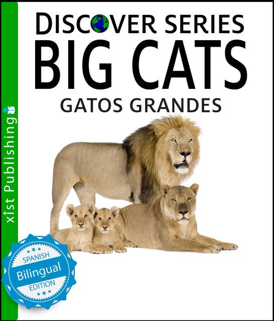 Big Cats / Gatos Grandes