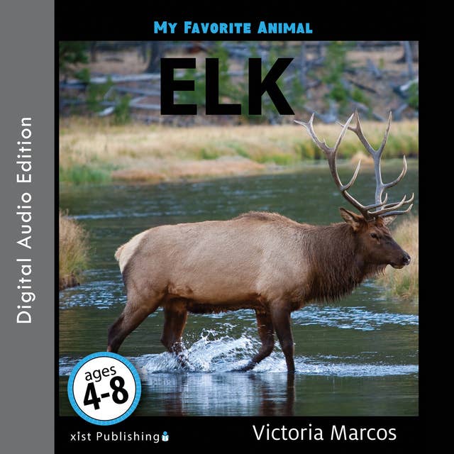 My Favorite Animal: Elk