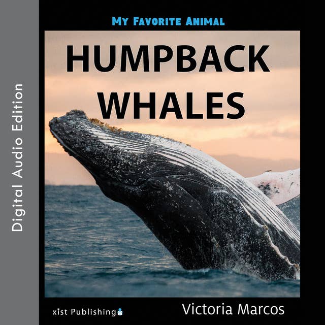My Favorite Animal: Humpback Whales