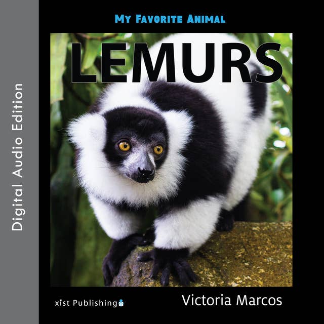 My Favorite Animal: Lemurs
