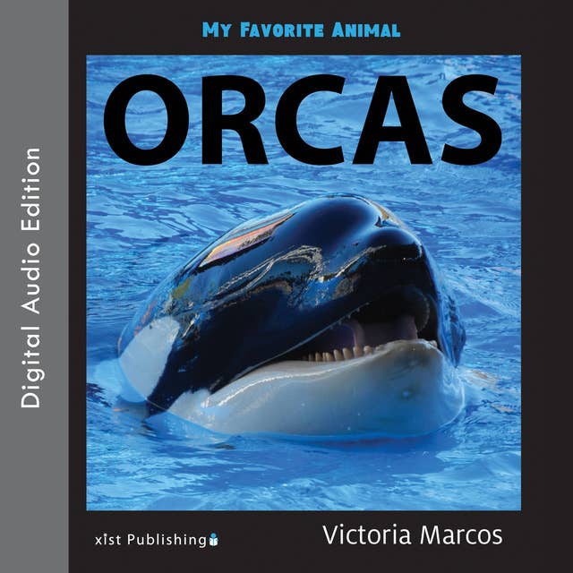 My Favorite Animal: Orcas