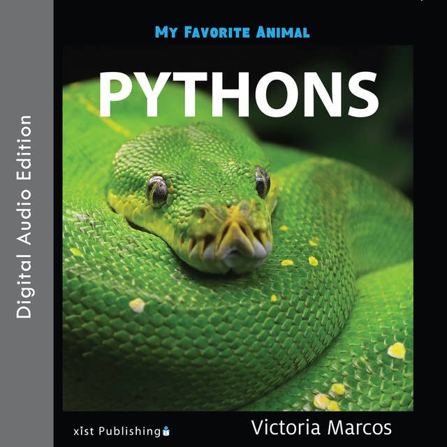 My Favorite Animal: Pythons