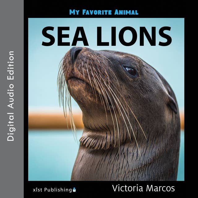 My Favorite Animal: Sea Lions