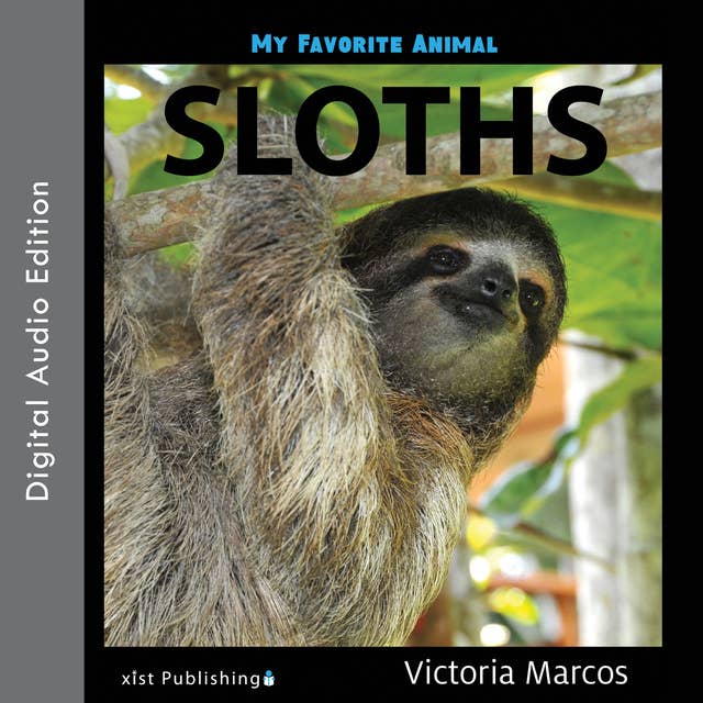 My Favorite Animal: Sloths