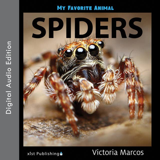 My Favorite Animal: Spiders