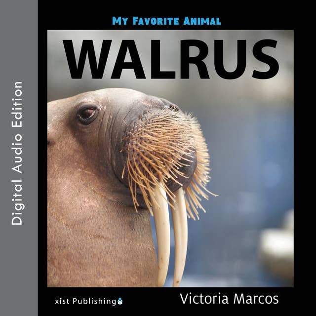 My Favorite Animal: Walrus