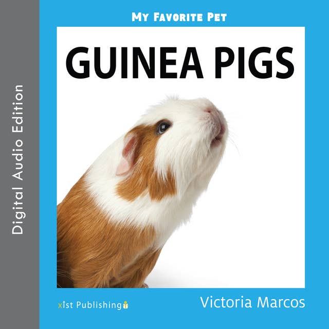My Favorite Pet: Guinea Pigs