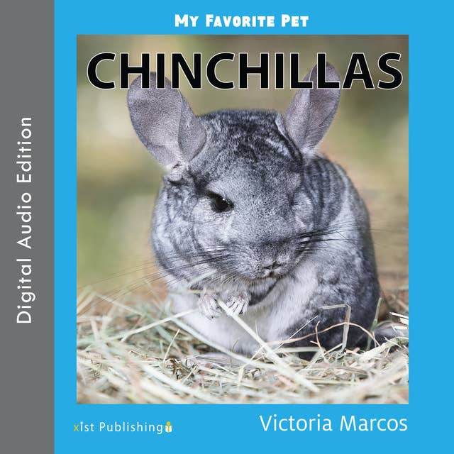 My Favorite Pet: Chinchillas: Chinchillas
