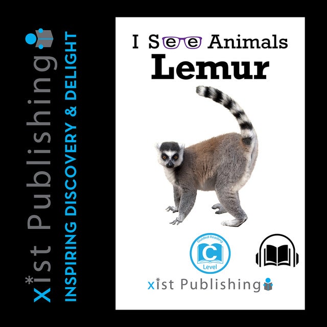 Dijk Bridge pier Dicht Lemur - Luisterboek - August Hoeft - Storytel