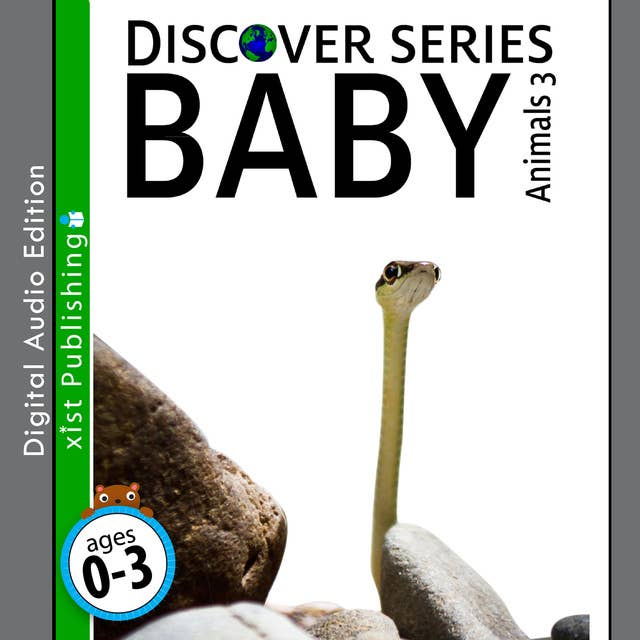 Baby Animals 3