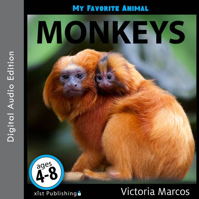 My Favorite Animal: Monkeys