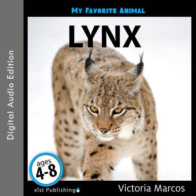 My Favorite Animal: Lynx