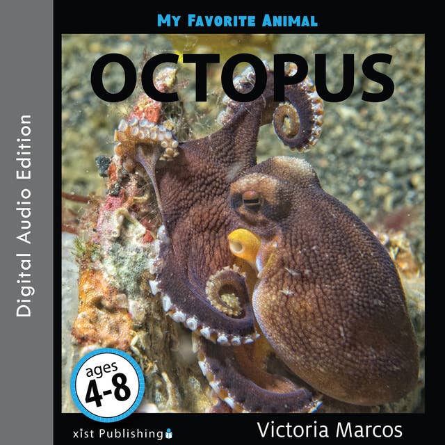 My Favorite Animal: Octopus
