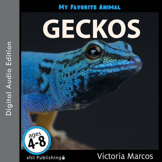 My Favorite Animal: Geckos