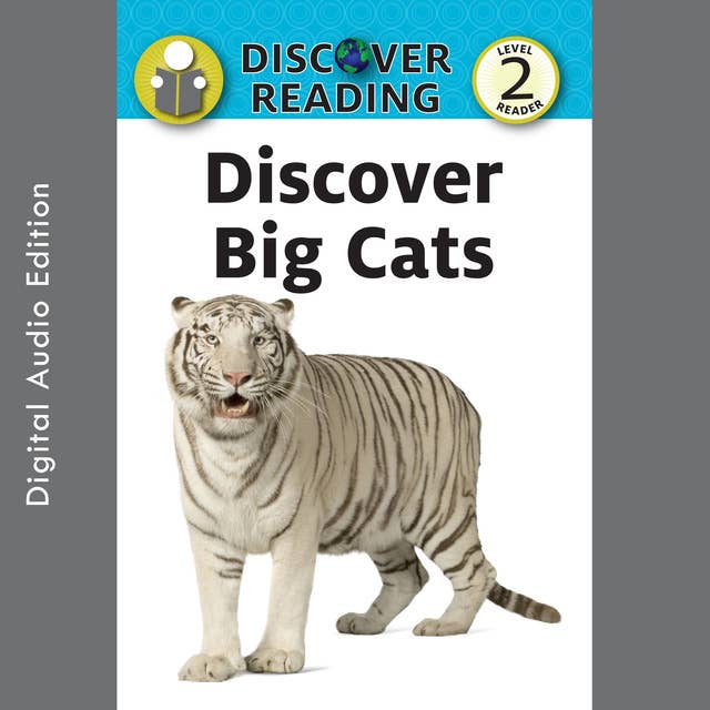 Discover Big Cats