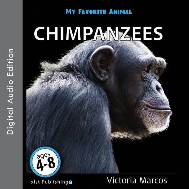 My Favorite Animal: Chimpanzees