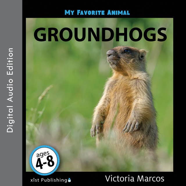 My Favorite Animal: Groundhogs