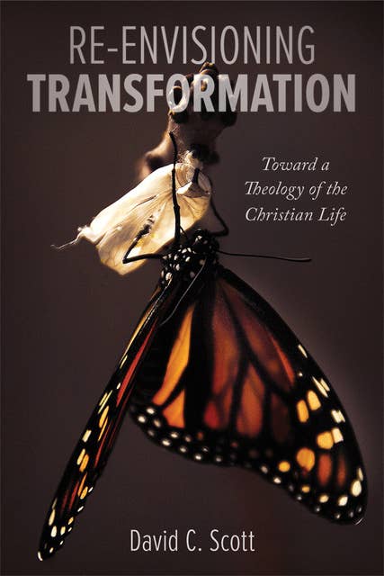 Re-Envisioning Transformation: Toward a Theology of the Christian Life