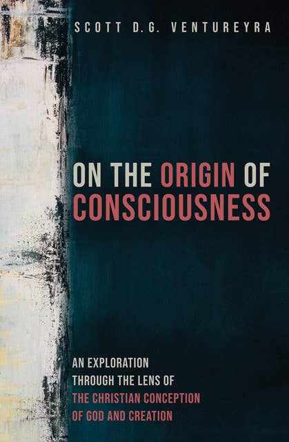 On the Origin of Consciousness: An Exploration through the Lens of the Christian Conception of God and Creation