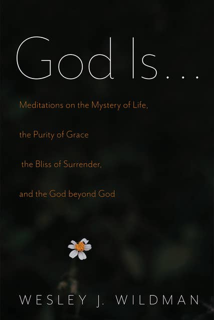 God Is . . .: Meditations on the Mystery of Life, the Purity of Grace, the Bliss of Surrender, and the God beyond God