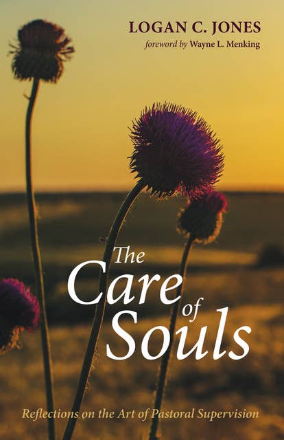 The Care of Souls: Reflections on the Art of Pastoral Supervision