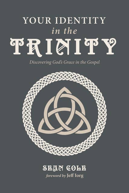 Cover for Your Identity in the Trinity: Discovering God’s Grace in the Gospel