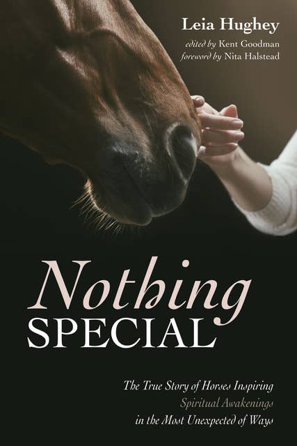 Nothing Special: The True Story of Horses Inspiring Spiritual Awakenings in the Most Unexpected of Ways