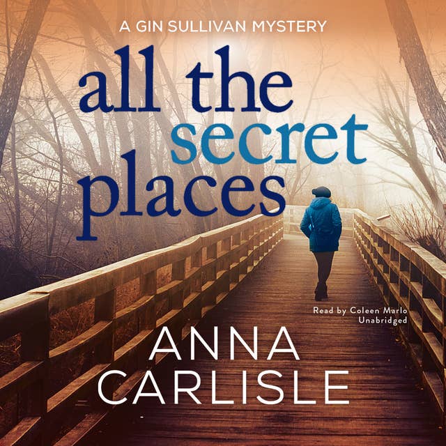 All the Secret Places: A Gin Sullivan Mystery