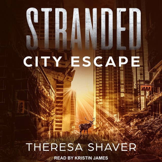 Cover for Stranded: City Escape