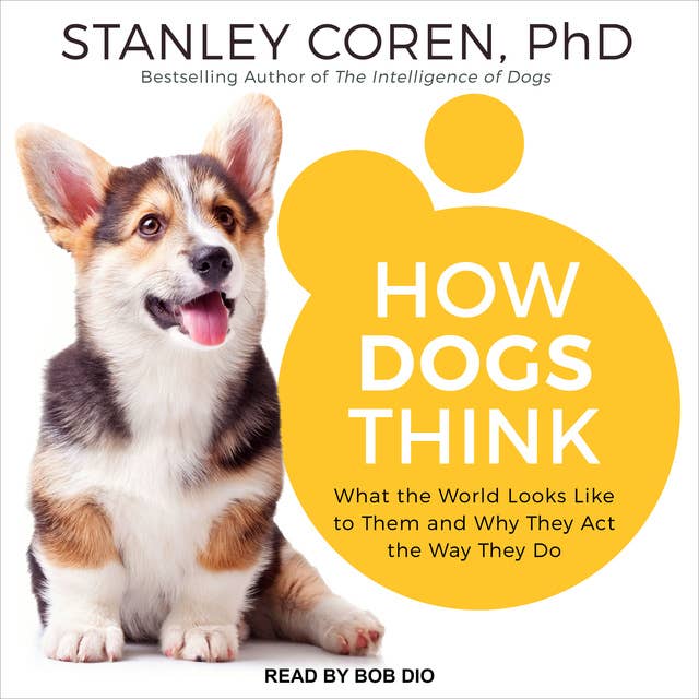 Cover for How Dogs Think: Understanding the Canine Mind
