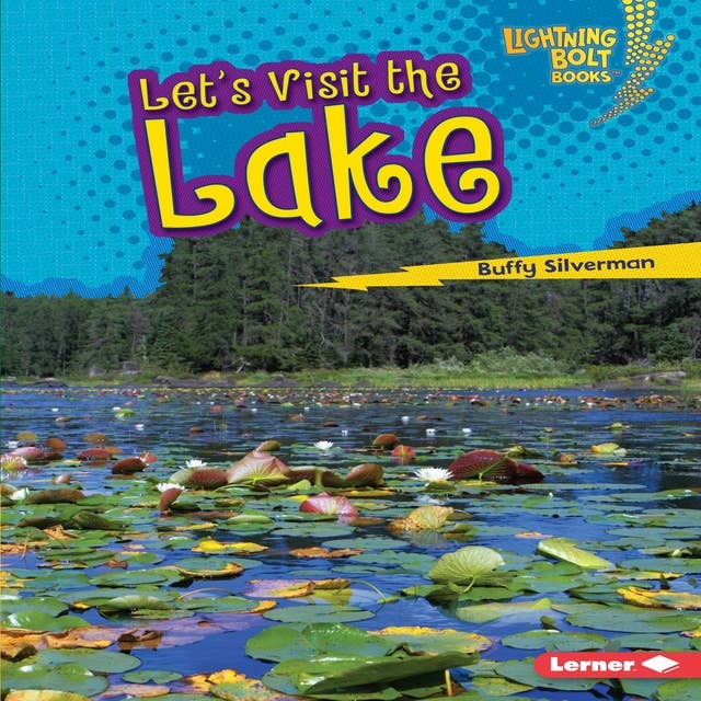 Let's Visit the Lake