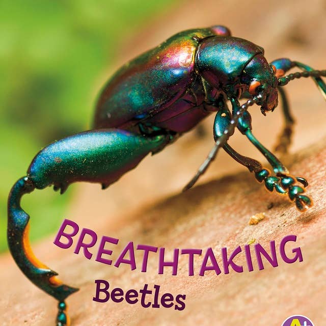 Breathtaking Beetles