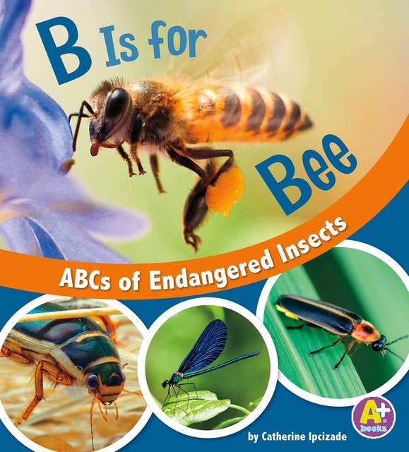 B Is for Bees: ABCs of Endangered Insects