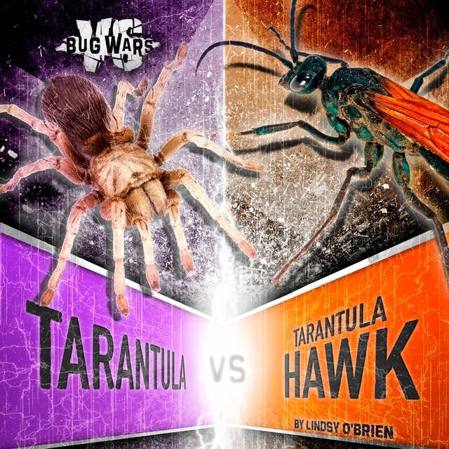 Tarantula vs. Tarantula Hawk: Clash of the Giants