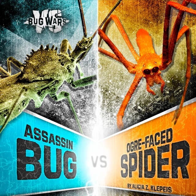 Assassin Bug vs. Ogre-Faced Spider: When Cunning Hunters Collide