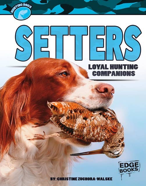 Setters: Loyal Hunting Companions
