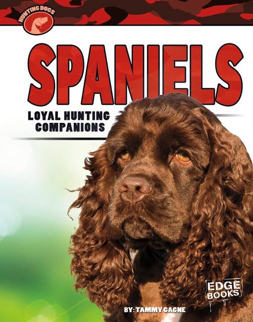 Spaniels: Loyal Hunting Companions